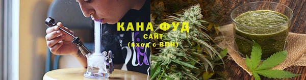 PSILOCYBIN Михайлов