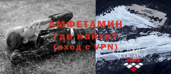 PSILOCYBIN Михайлов